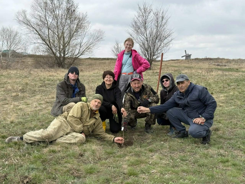 На Аркаиме высадили абрикосовый сад