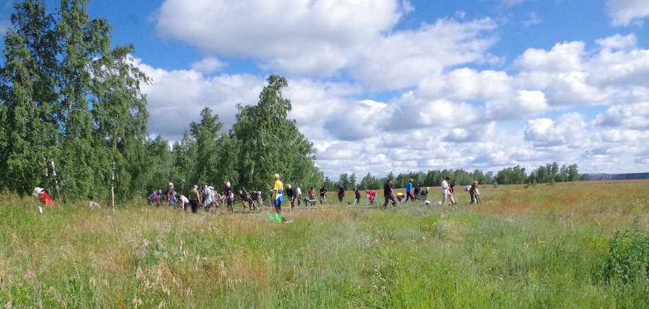 Десятки артефактов каждый день: археологи ЧелГУ работают на раскопках стоянки эпохи энеолита