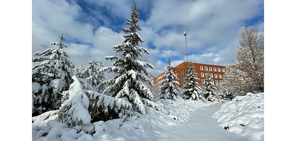 ЧелГУ впервые вошёл в рейтинг QS