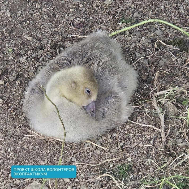 Погружаясь в практику