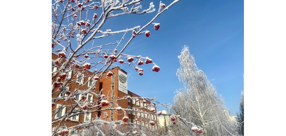 Молодые учёные ЧелГУ могут принять участие в конкурсах РНФ