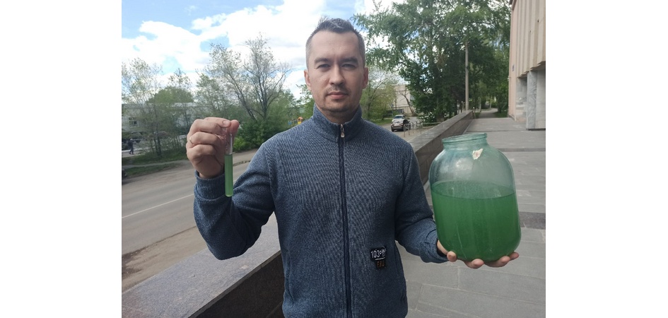 Экологи ЧелГУ разрабатывают технологию очищения воздуха с помощью водорослей