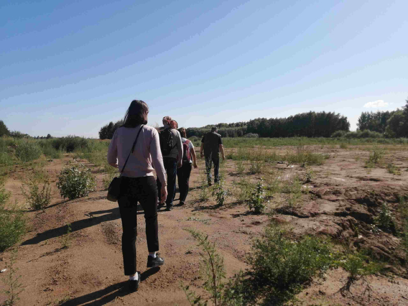 Ботаники ЧелГУ выиграли президентский грант на обустройство берега Шершнёвского водохранилища