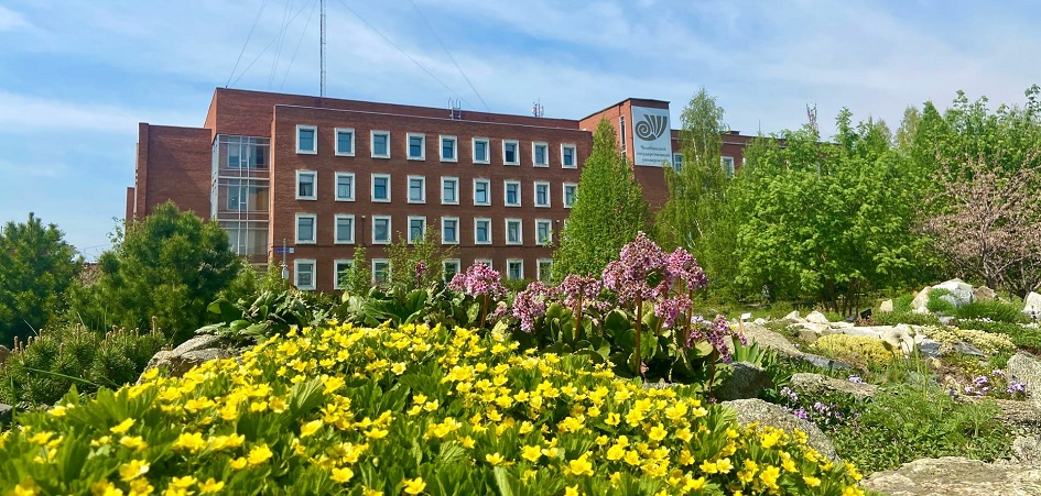 Победитель, фрик, чудотворец: в ЧелГУ изучили образы политиков в соцсетях