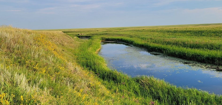 Археологическая сенсация: учёные ЧелГУ открыли новое поселение
