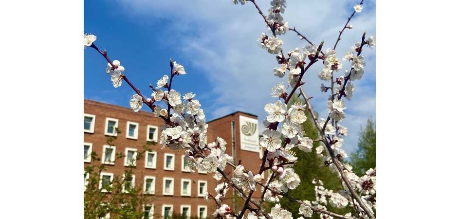 ЧелГУ – в первой лиге Национального рейтинга