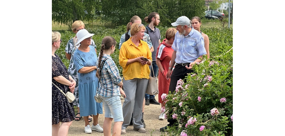 Невербальное общение, мир красок, мем-культура и управленческие навыки: «Зелёный понедельник» ЧелГУ 7 августа