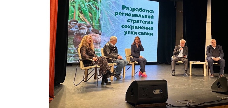 Студенты ЧелГУ приняли участие в круглом столе регионального Экосовета по теме сохранения утки савки