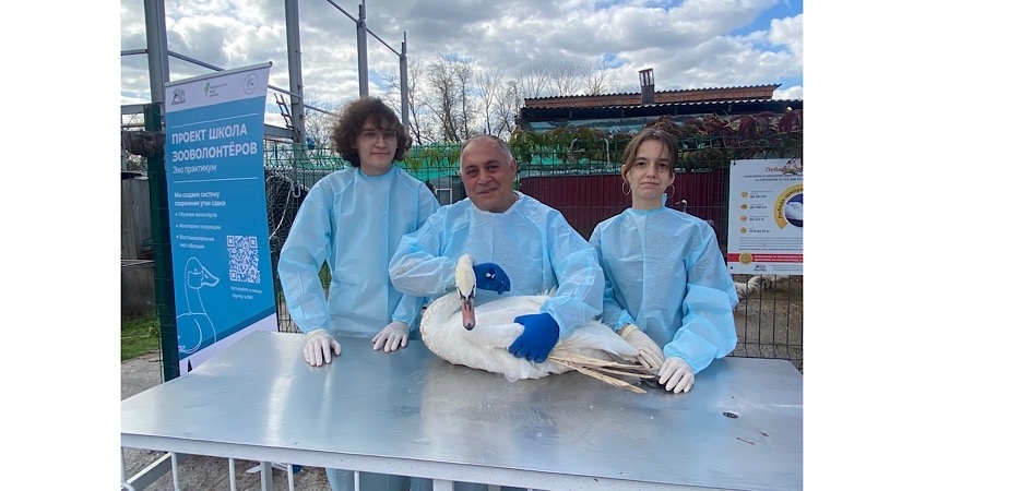 Биологи ЧелГУ отправились учиться в Школу зооволонтёров