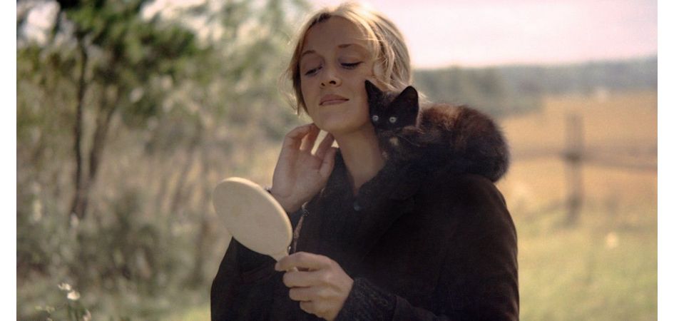 Blow-up, «Зеркало» или «Поворот винта»: студенты ЧелГУ выберут и обсудят один из значимых фильмов ХХ века