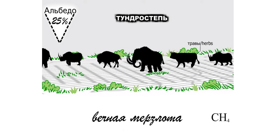 Воскресный университет ЧелГУ погрузит в мир научной анимации