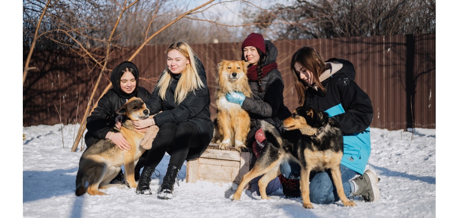В ЧелГУ пройдёт сбор макулатуры в помощь животным из приюта