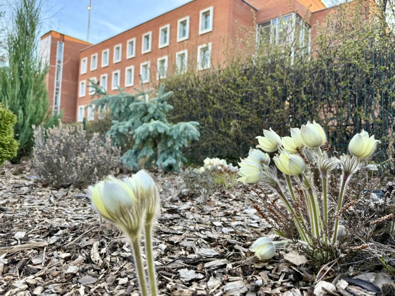 В ЧелГУ возобновлена работа диссертационного совета по физико-математическим наукам