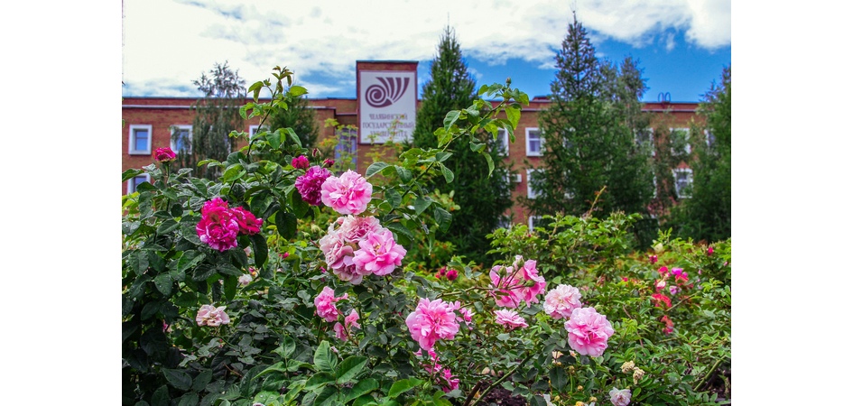 Экологи ЧелГУ составили карту распределения концентраций углекислого газа в Челябинске