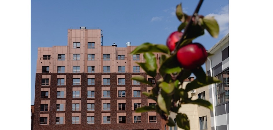 Учёные ботсада ЧелГУ в межуниверситетском кампусе разобьют ботанический сад