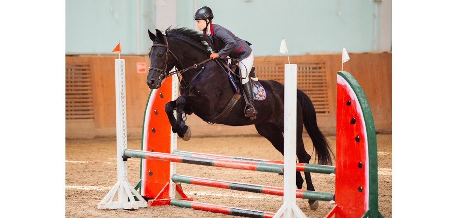 Студентка ЧелГУ – призёр соревнований по конному спорту