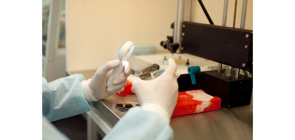 Инновации в тканевой инженерии: аспирант ЧелГУ патентует модифицированный 3D-биопринтер