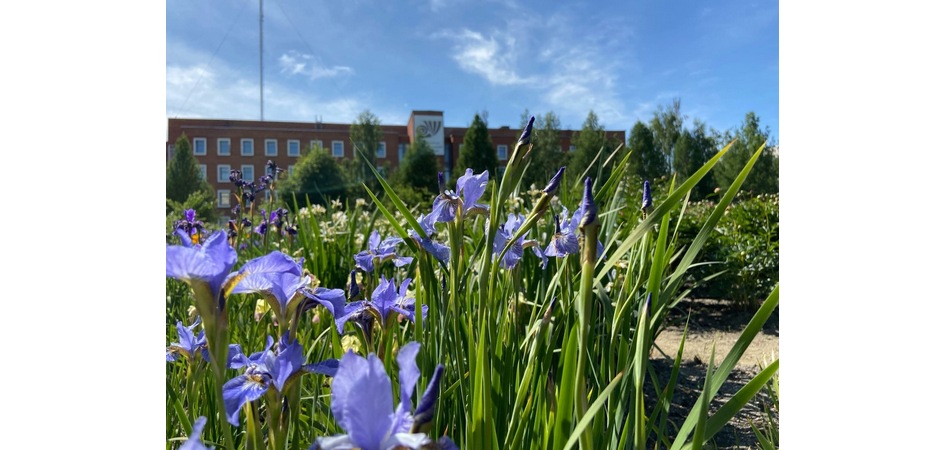 Стратегию развития эндаумент-фонда ЧелГУ поддержали в «Сколково»