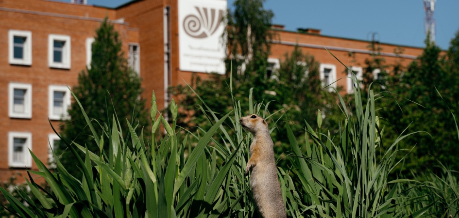 Эндаумент-фонд ЧелГУ объявляет фотоконкурс
