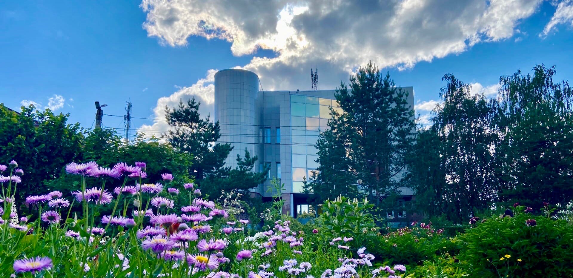 В ЧелГУ вышел сборник статей о месте Конституции РФ в законодательстве