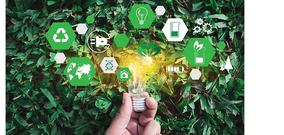 Студенты и преподаватели ЧелГУ могут стать участниками экологического акселератора