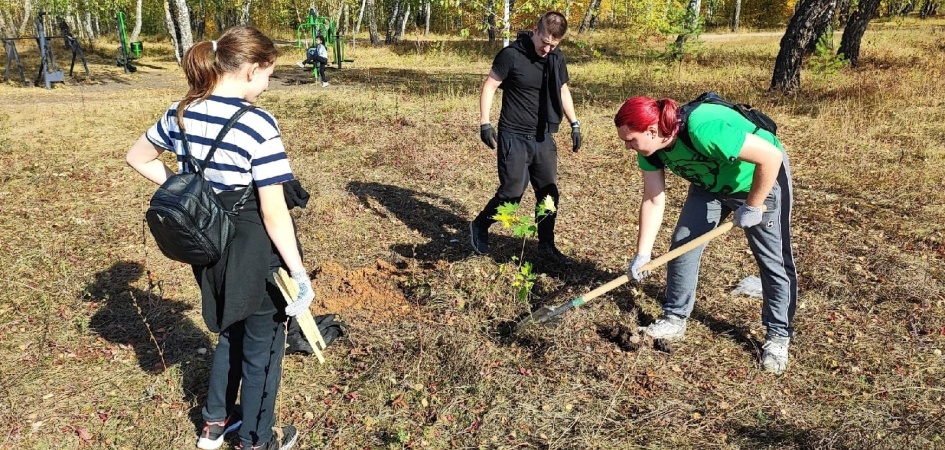 Студенты-экологи ЧелГУ высадили деревья в новом сквере