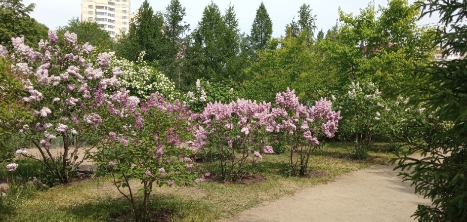 Преподаватель ЧелГУ выпустил учебник для студентов-экологов