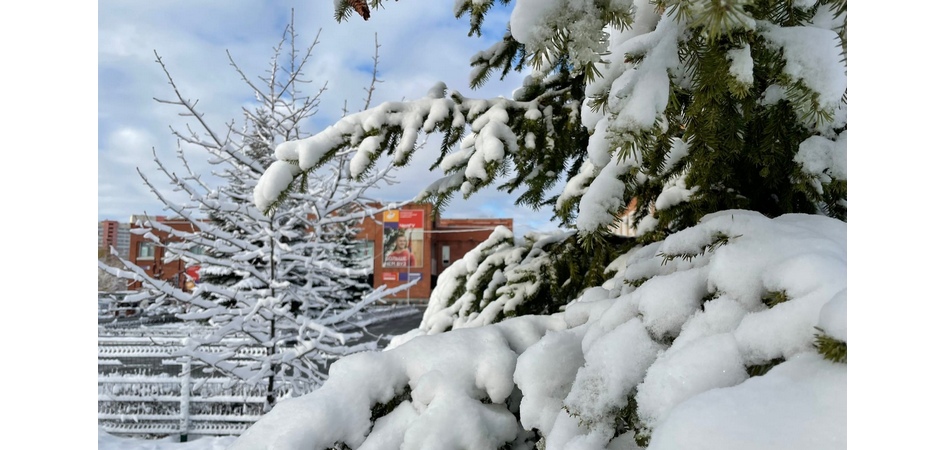 ЧелГУ приглашает на интенсивный курс английского языка