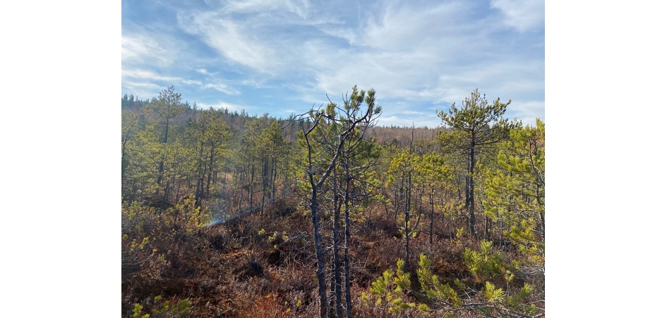 Ботанический сад ЧелГУ завершил экспедиционный сезон-2021
