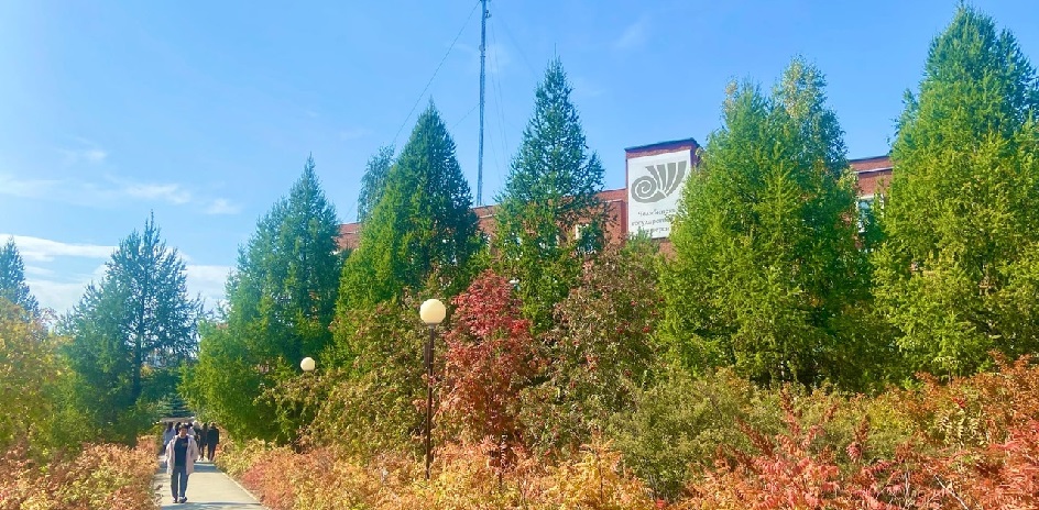 Исследователи ЧелГУ посвятили научную конференцию проблемам неравенства