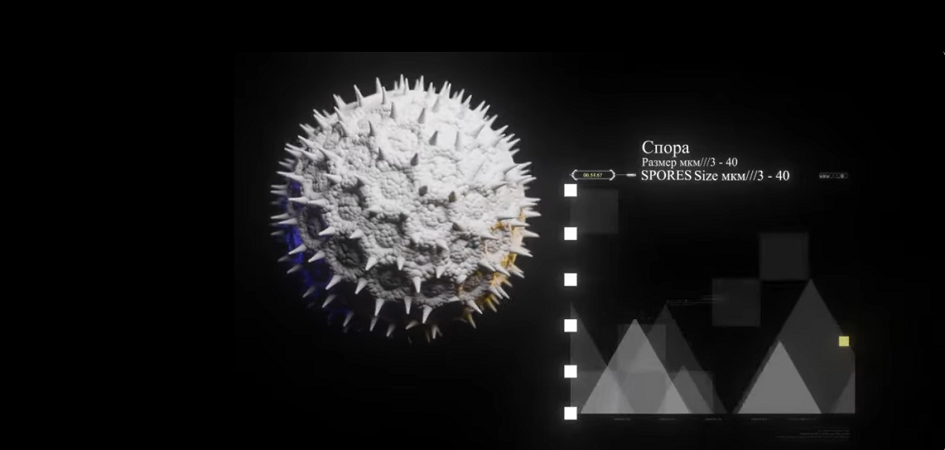 «Доктор Стоун» в реальности: экологи ЧелГУ занялись научной анимацией