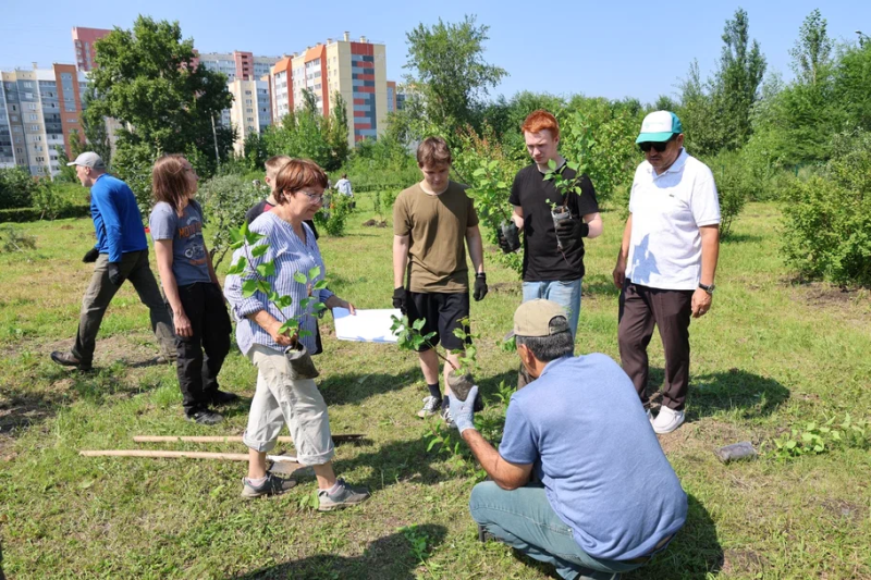 В ботсаду ЧелГУ высажены плодовые деревья