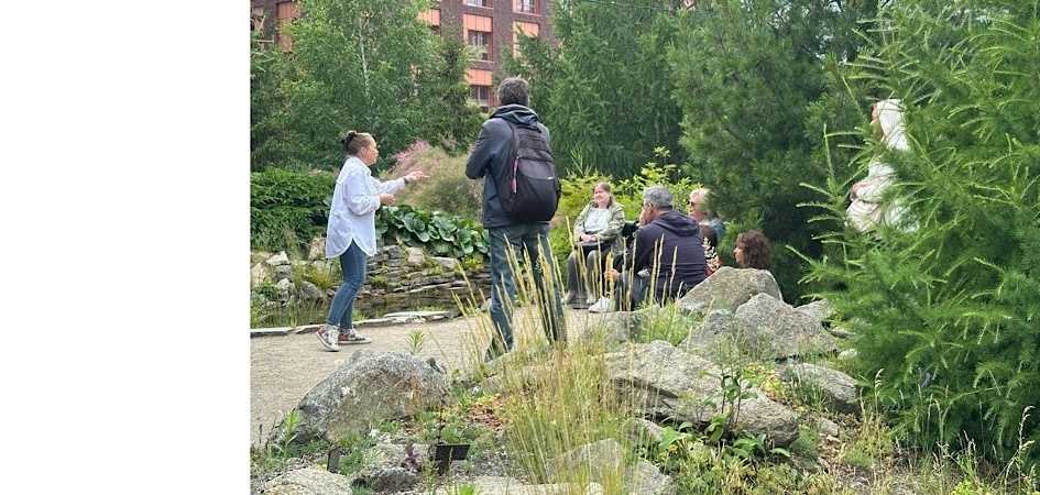 Стресс, гиперпродуктивность, озеленение и литература — 4 августа ЧелГУ приглашает на открытые занятия