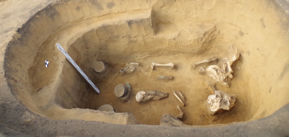 Археологи ЧелГУ обнаружили 17 младенческих погребений бронзового века