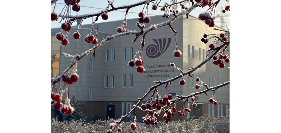 Совет ректоров вузов Челябинской области выступил с заявлением