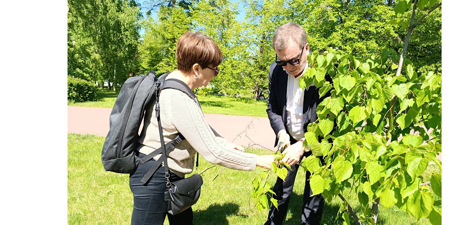 Директор ботсада ЧелГУ оценила состояние Аллеи финансистов после снежной зимы
