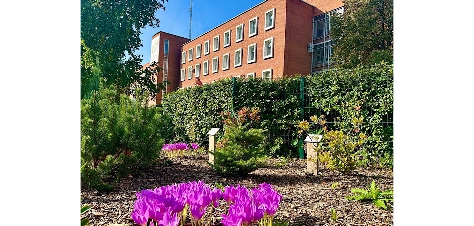 Программы ЧелГУ вошли в первую лигу Предметного агрегированного рейтинга