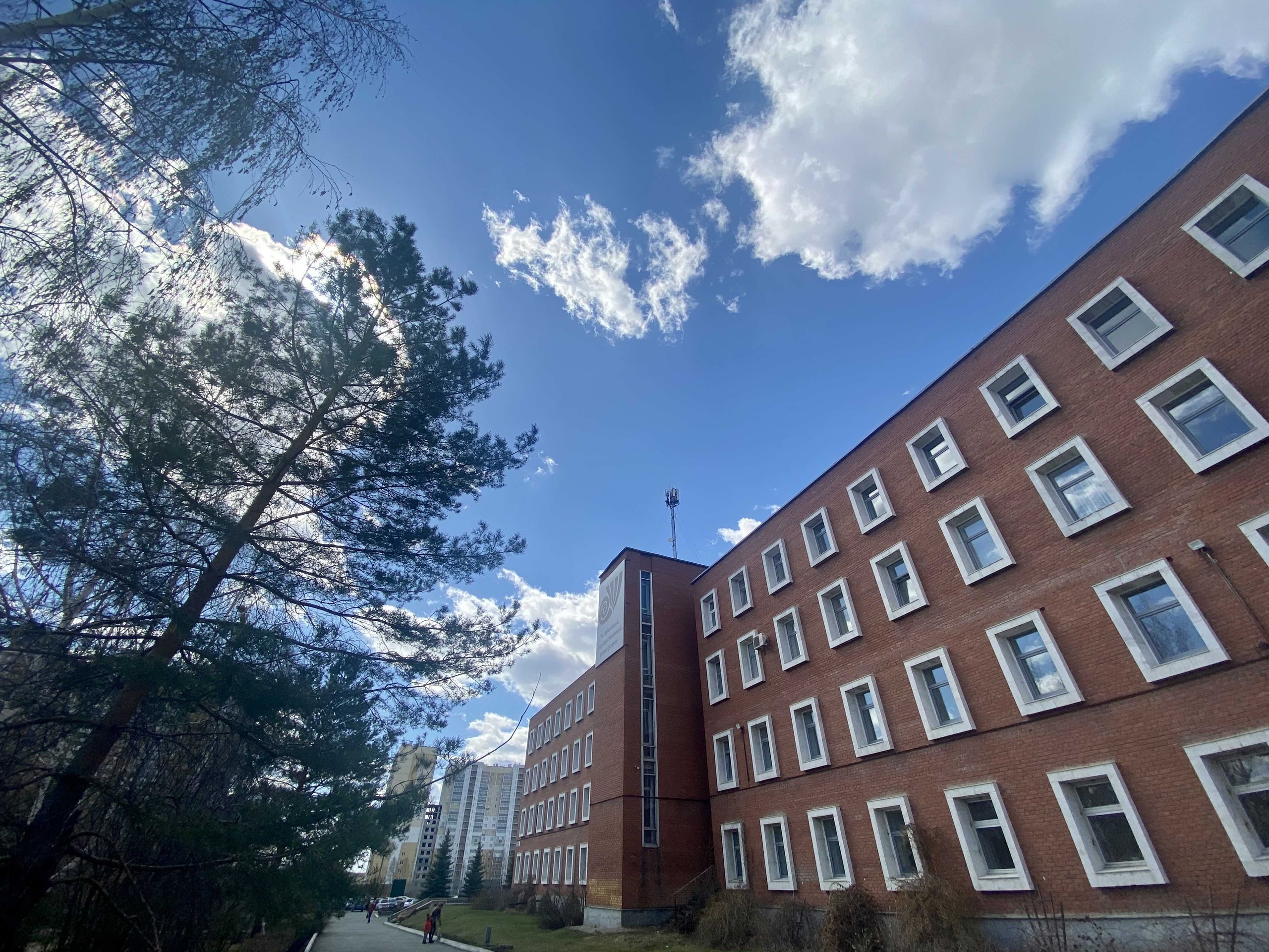 Самых юных студентов ЧелГУ приглашают к участию во Всероссийском чемпионате на знание Интернета