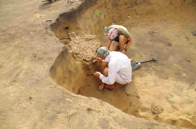 Археологи ЧелГУ впервые исследуют межкультурные связи аркаимского общества