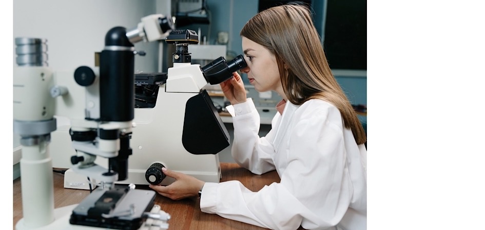 Учёные ЧелГУ отвечают на глобальные вызовы времени и исследуют мировую повестку