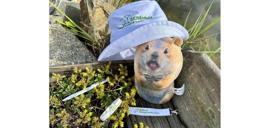 Несуровый челябинский научпоп: ЧелГУ запустил новый сайт